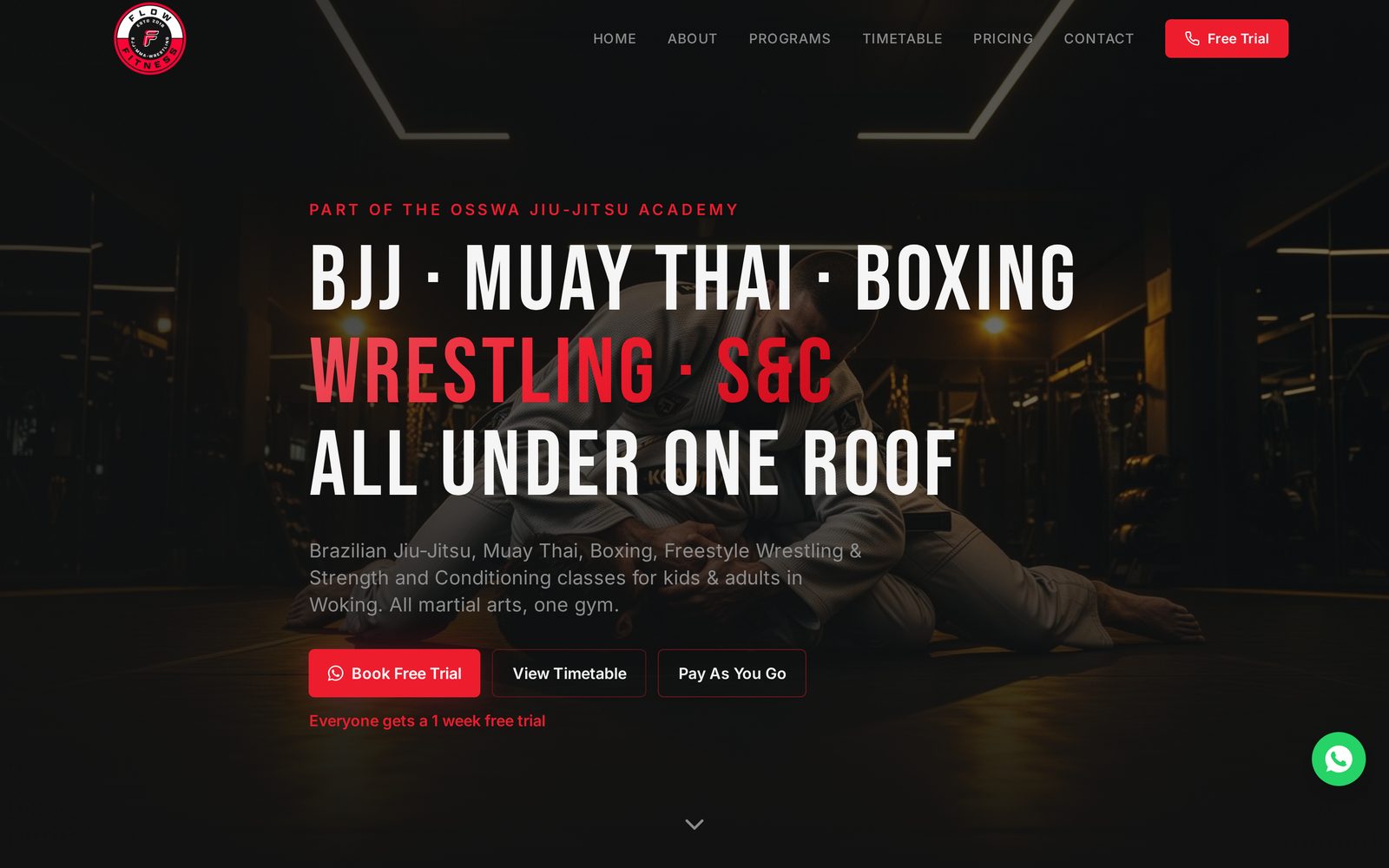 Flow Fitness Woking — martial arts & strength gym website built by FlowLocal AI